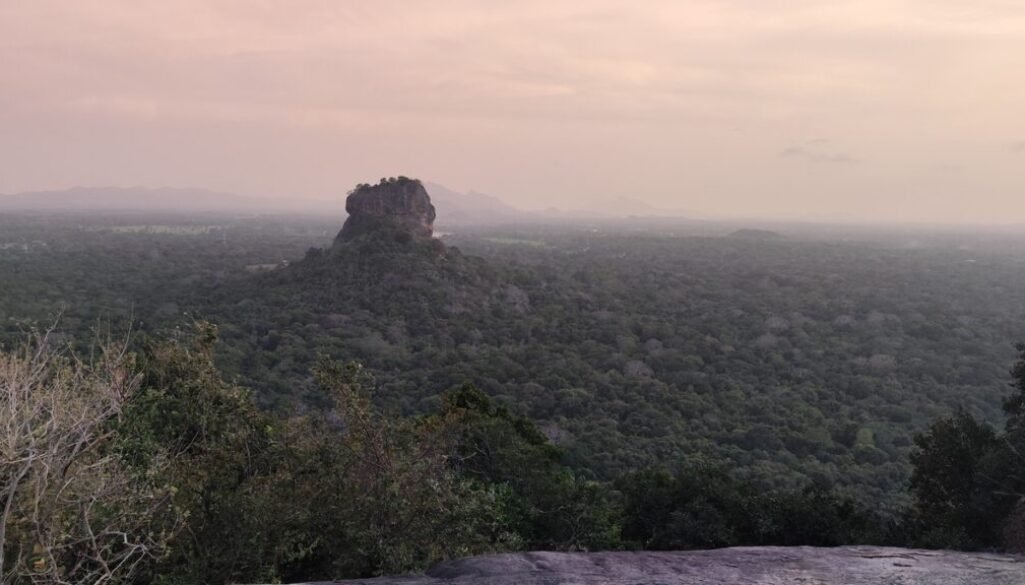 IMG_20250711_183015 (3)