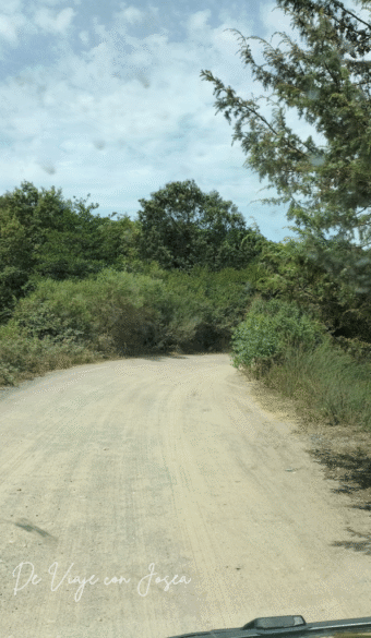 Diseño sin título (6) (1)