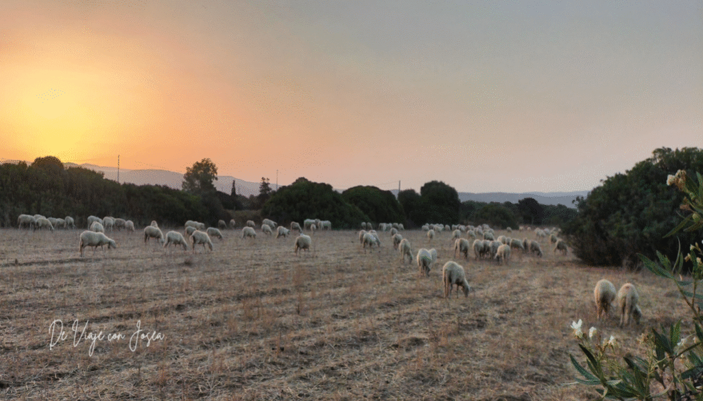 Sosta Camper en zona rural de Cerdeña